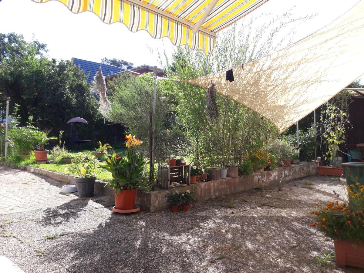 Ferienwohnung Lerchennest Georgensgmund Exteriör bild