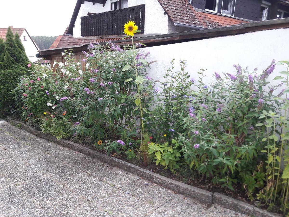 Ferienwohnung Lerchennest Georgensgmund Exteriör bild